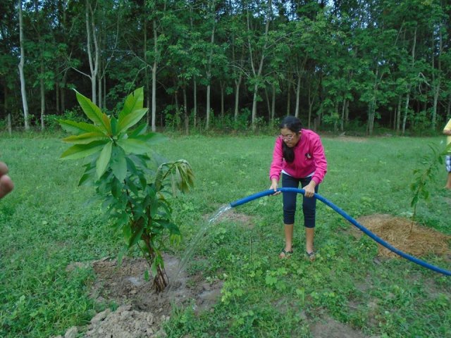 Tham quan và trồng cây
