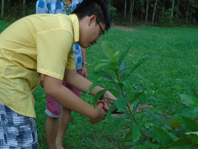 Tham quan và trồng cây